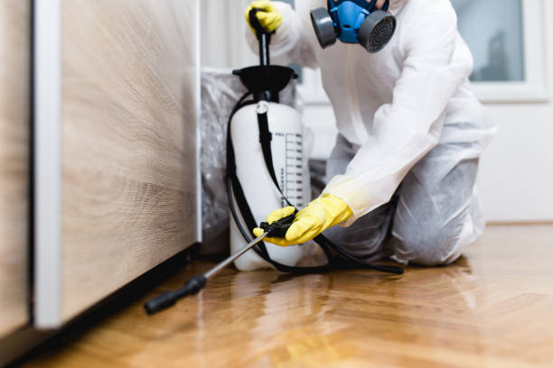 Best Pest Control for Restaurants  in Oxford, IN