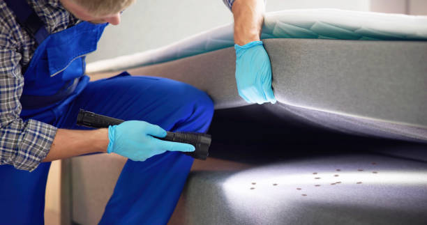 Best Exterminator Services  in Oxford, IN