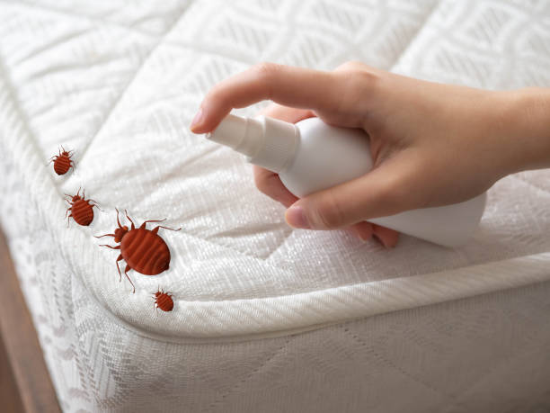 Best Best Pest Control Companies  in Oxford, IN